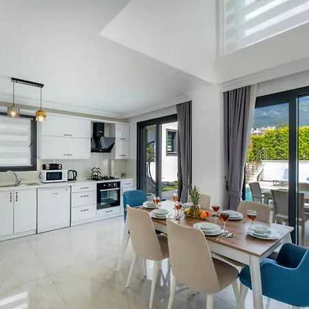 别墅 Modern Chic 4-bedroom With Private Pool And Garden In Hisaronu 费特希耶